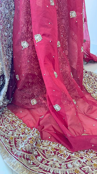 Ayina Arzoo