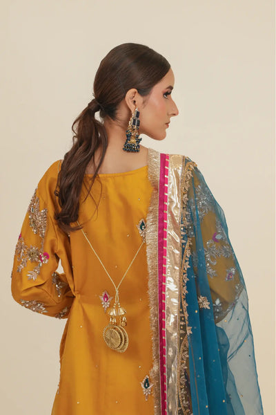 Roshni